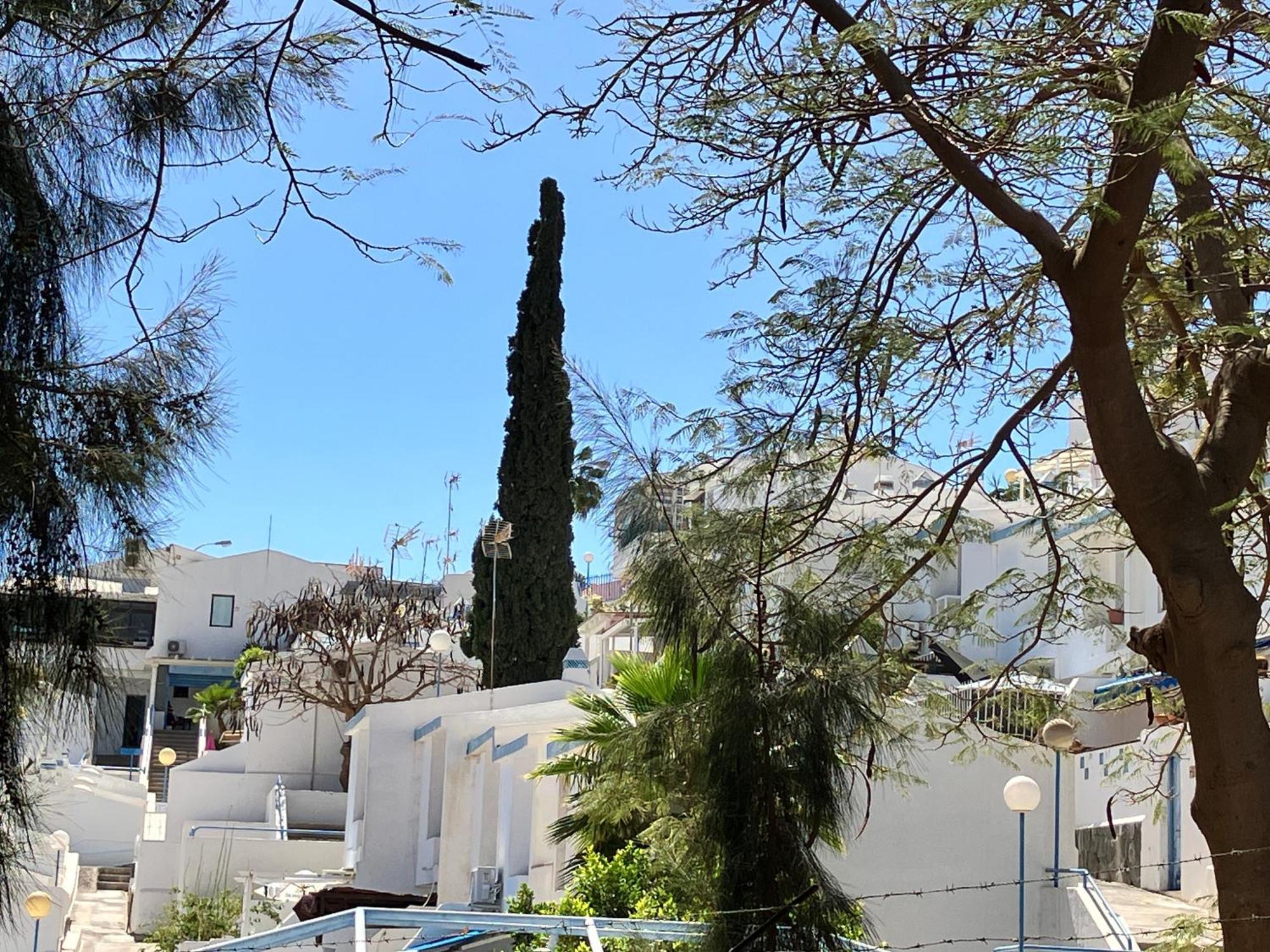 Ferienwohnung Casakash Sonnenland Maspalomas  Exterior foto